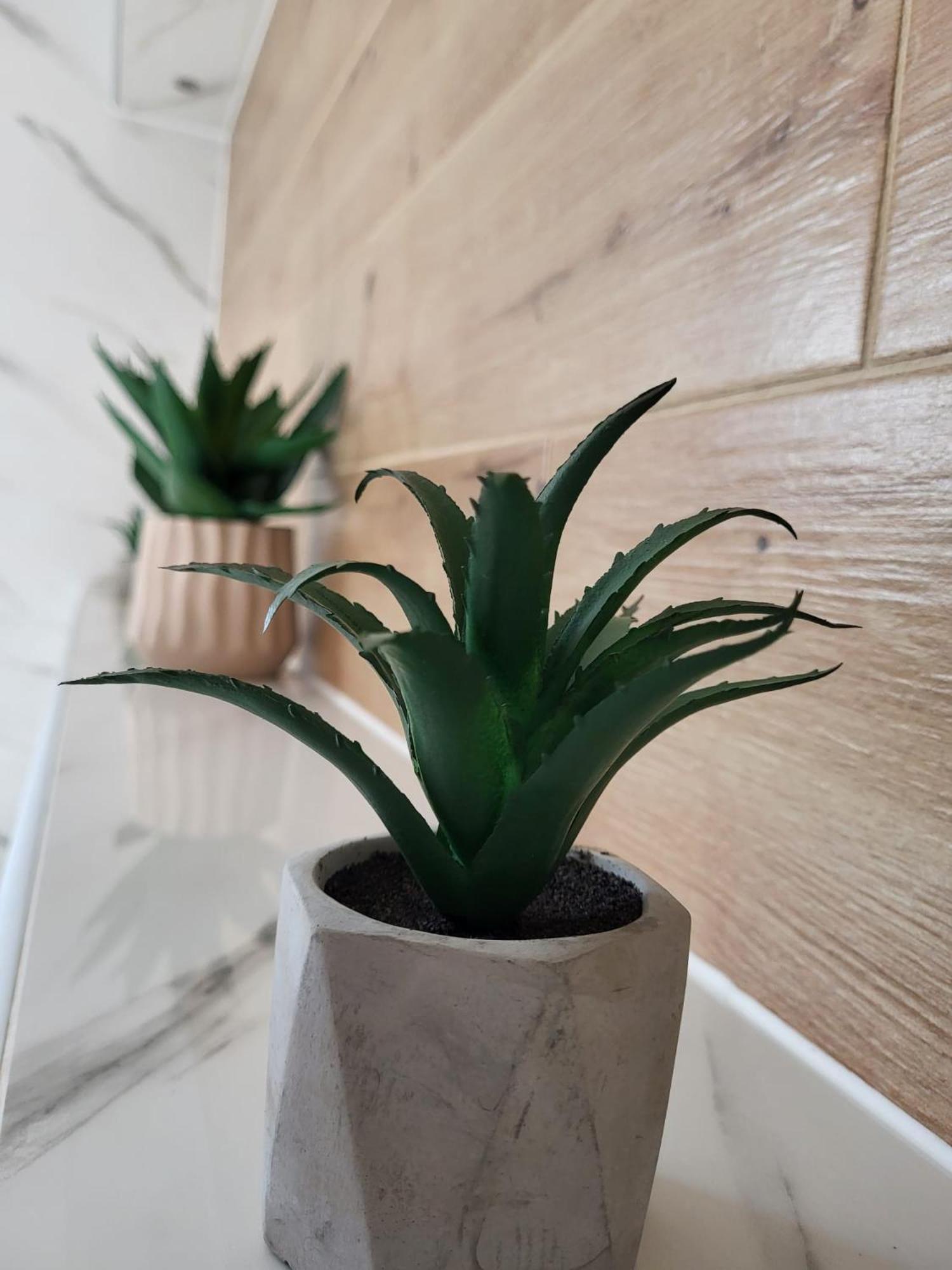 סלוניי Apartment Dado מראה חיצוני תמונה